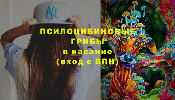 марки lsd Бородино